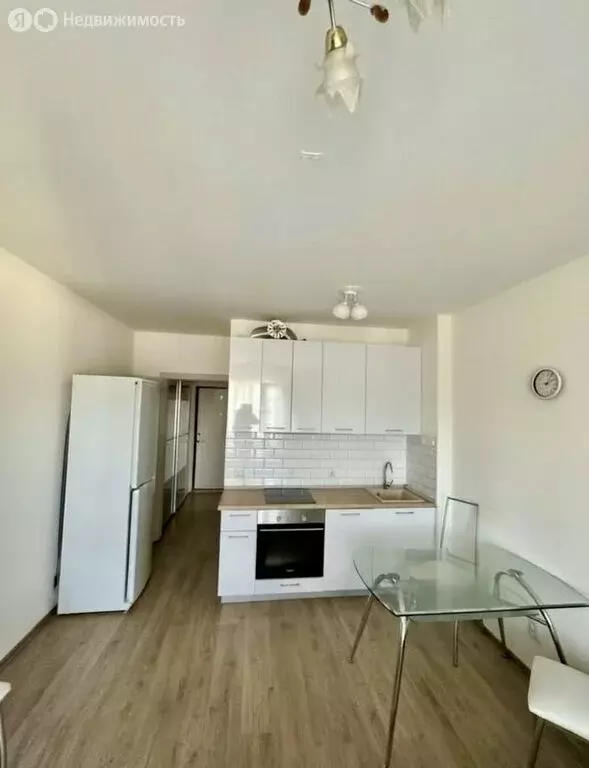 Квартира-студия: Санкт-Петербург, проспект Ветеранов, 171к4 (23.9 м) - Фото 2