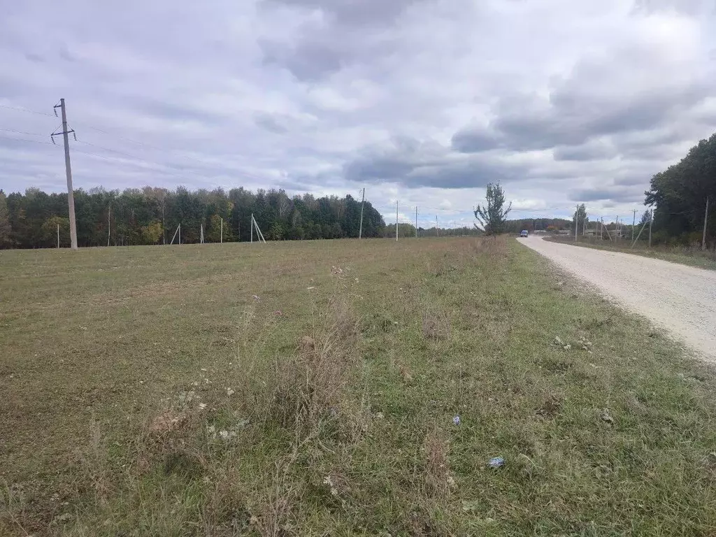 Участок в Тульская область, Ясногорский район, Иваньковское с/пос, д. ... - Фото 0