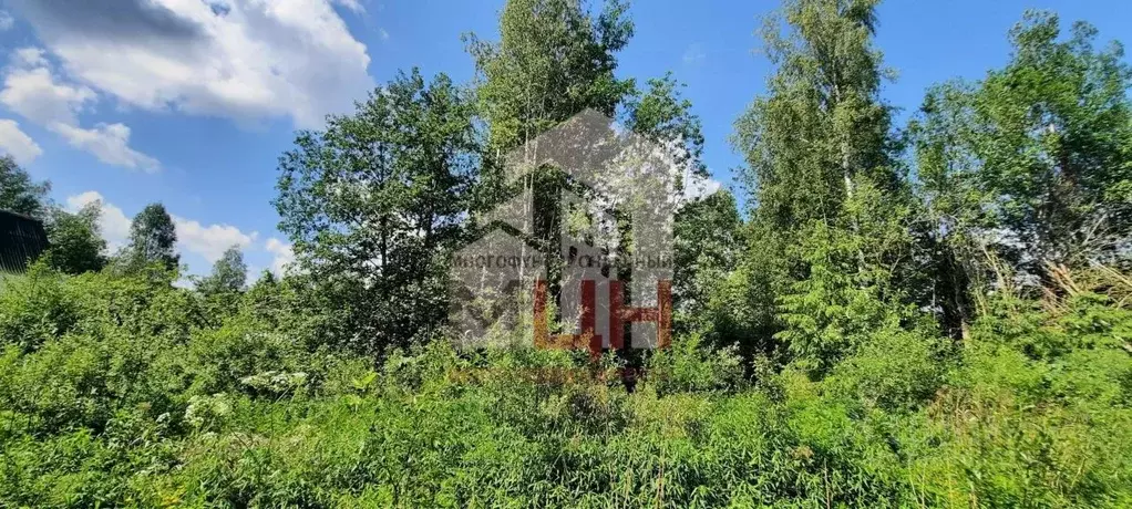 Участок в Тверская область, Конаковский муниципальный округ, Заречье ... - Фото 2