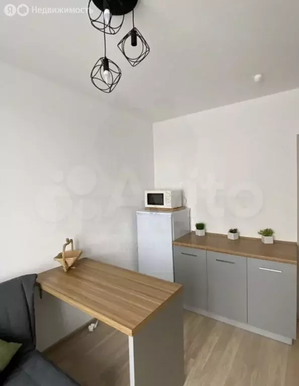 Квартира-студия: Екатеринбург, улица Академика Парина, 41 (25 м) - Фото 2