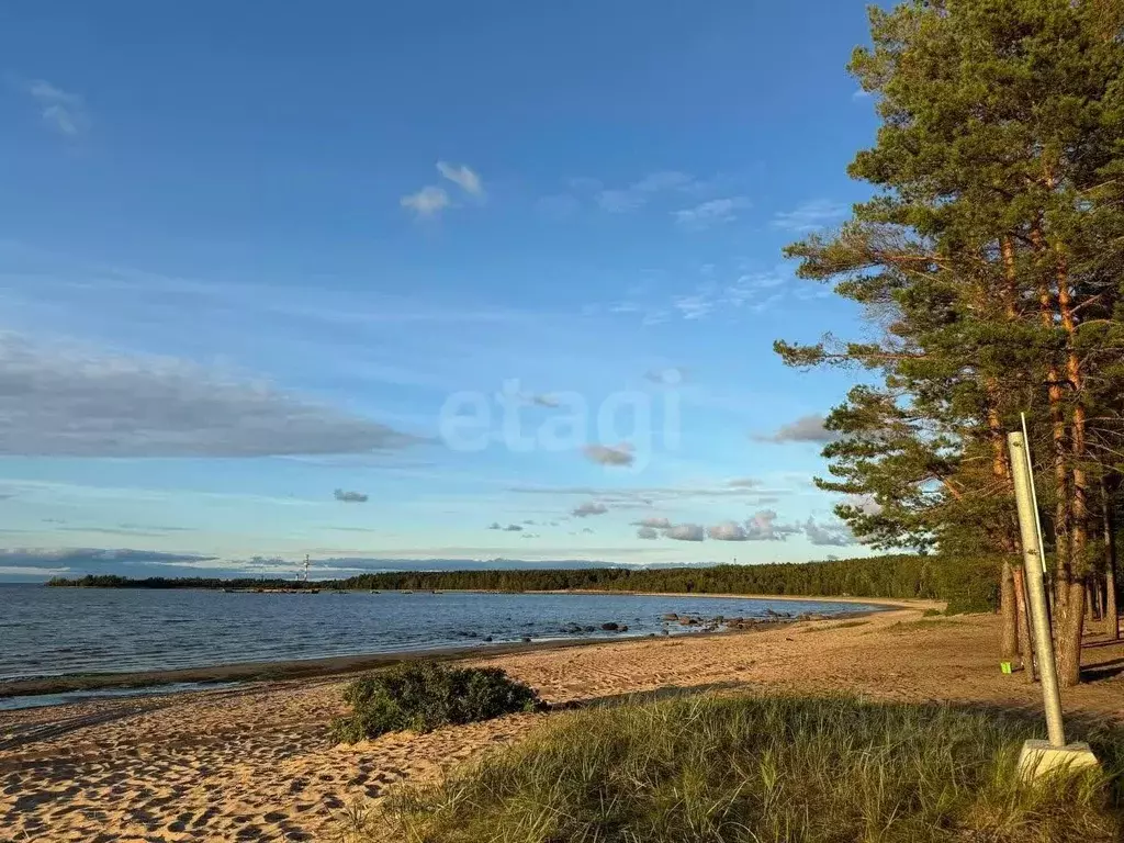 Участок в Ленинградская область, Ломоносовский район, Лебяженское ... - Фото 1