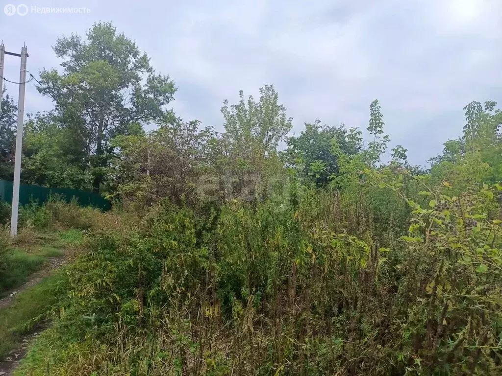 Участок в Тульская область, городской округ Тула, СТ Дружба (10 м) - Фото 2