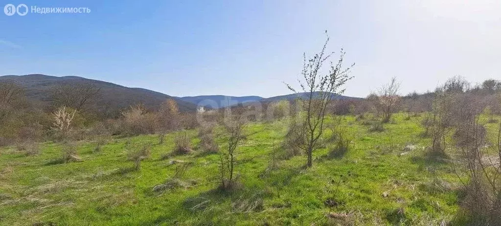 Участок в Старый Крым, улица Грина (6 м) - Фото 1