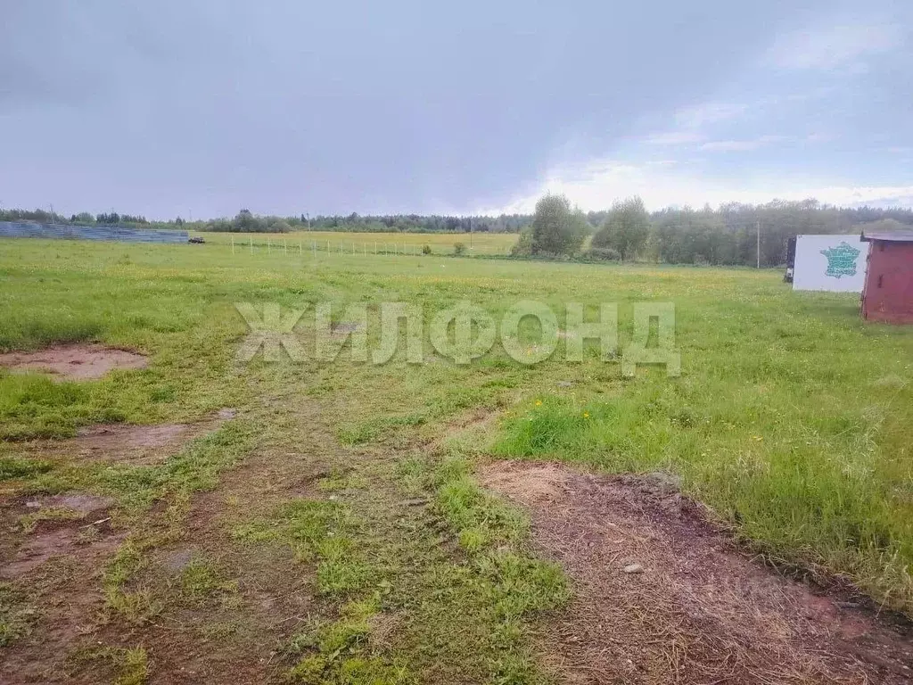 Участок в Томская область, Томский район, с. Корнилово, Красная горка ... - Фото 1