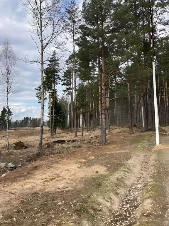 Участок в Ленинградская область, Приозерский район, Сосновское с/пос, ... - Фото 0