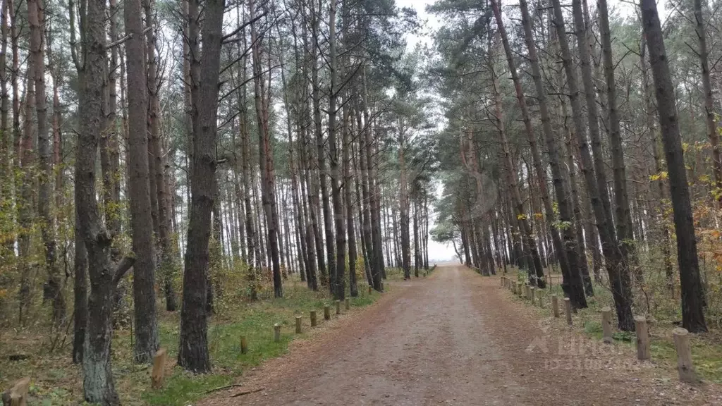 Дом в Калининградская область, Калининград Мечта СНТ,  (166 м) - Фото 0