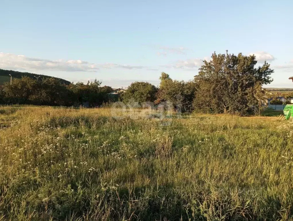 Участок в Белгородская область, Яковлевский муниципальный округ, с. ... - Фото 2