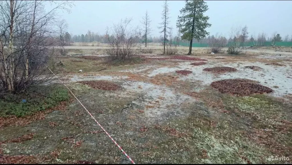 Участок в Ямало-Ненецкий АО, Новый Уренгой ул. Айвазовского, 46 (6.81 ... - Фото 0
