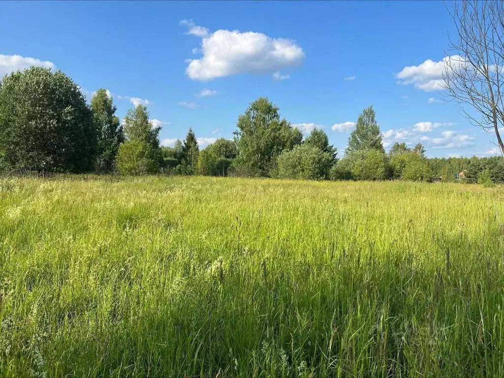 Участок в Ярославская область, Переславль-Залесский городской округ, ... - Фото 1