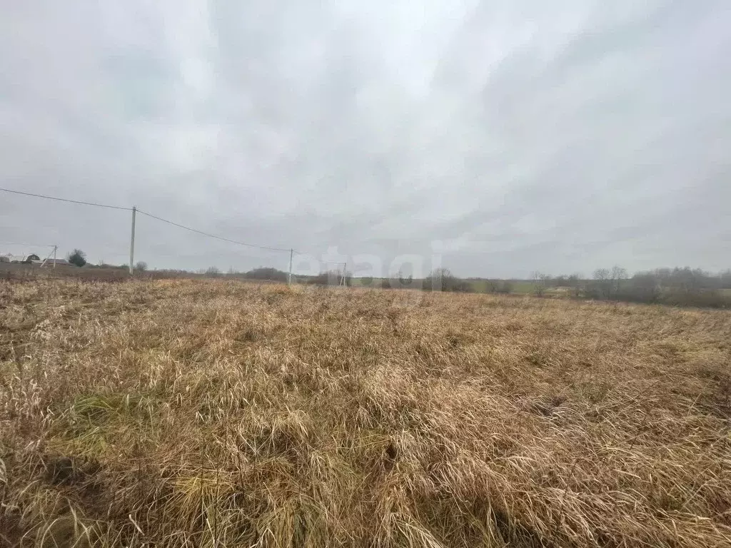 Участок в Вологодская область, д. Яковлевское  (10.0 сот.) - Фото 1