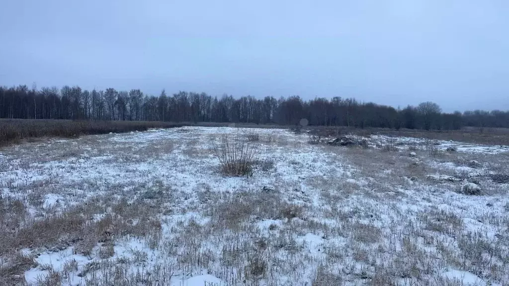 Участок в Тульская область, Тула муниципальное образование, с. ... - Фото 1