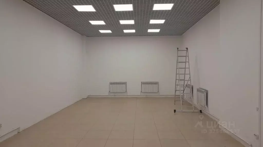 Торговая площадь в Владимирская область, Владимир ул. Куйбышева, 16А ... - Фото 2