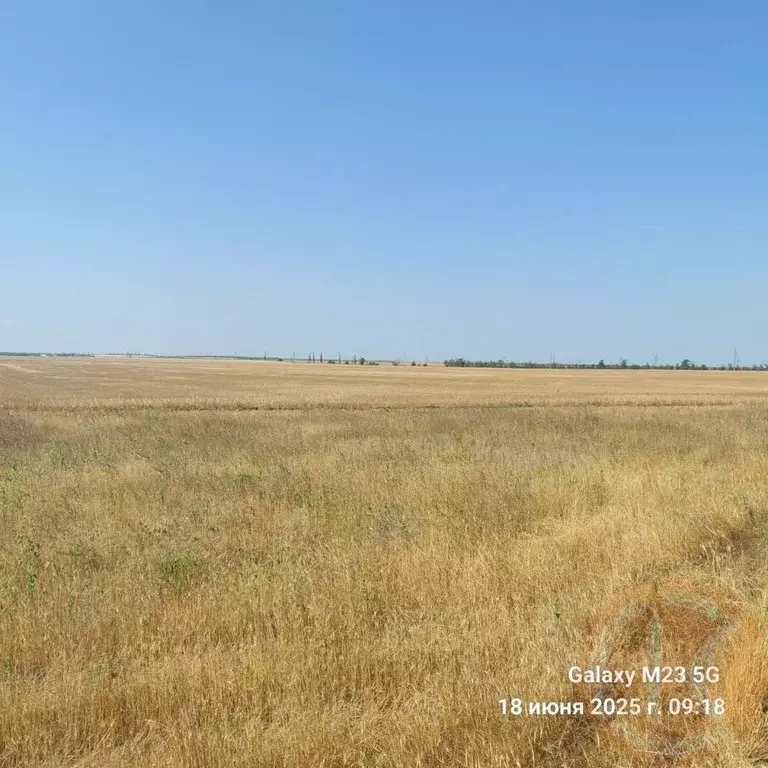 Участок в Крым, Черноморский район, с. Новоивановка  (200.0 сот.) - Фото 2