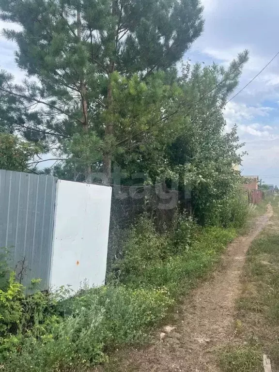 Участок в Оренбургская область, Оренбургский район, Ивановский ... - Фото 2