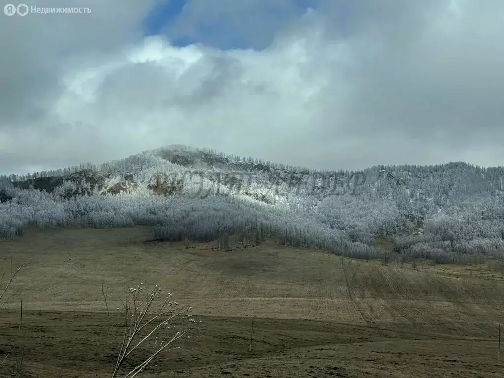 Участок в Шебалинский район, село Малая Черга (80 м) - Фото 1