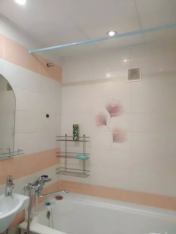 1-к кв. Новосибирская область, Искитимский район, Линево городское ... - Фото 2