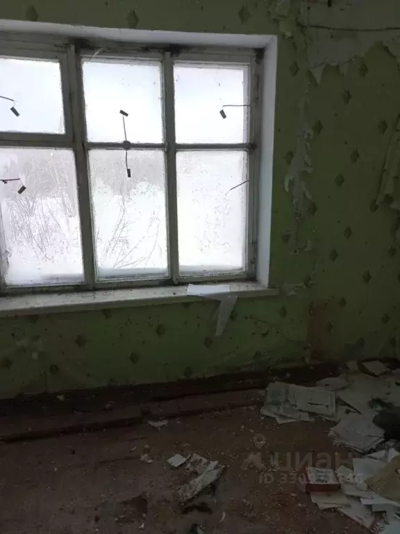 Помещение свободного назначения в Алтайский край, Зональный район, с. ... - Фото 2
