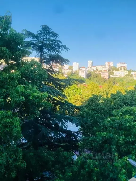 1-к кв. Краснодарский край, Сочи Донская ул., 29Б (33.0 м) - Фото 2