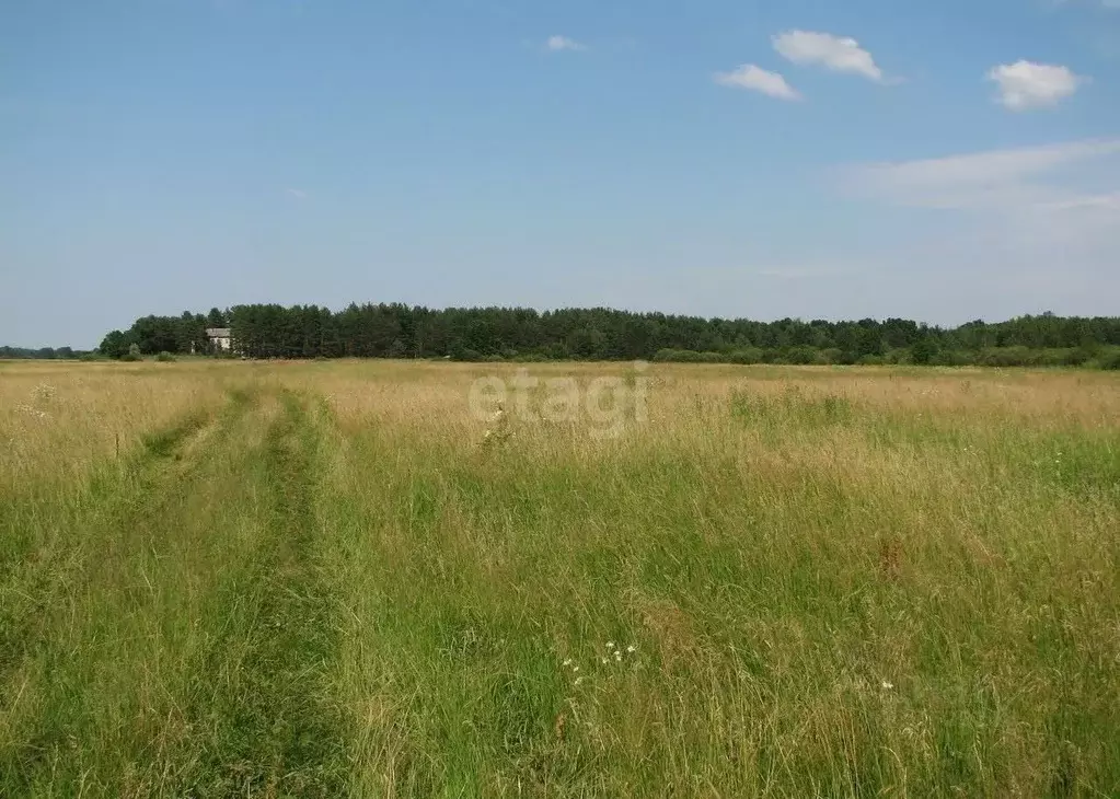 Участок в Адыгея, Теучежский район, Тлюстенхабльское городское ... - Фото 1