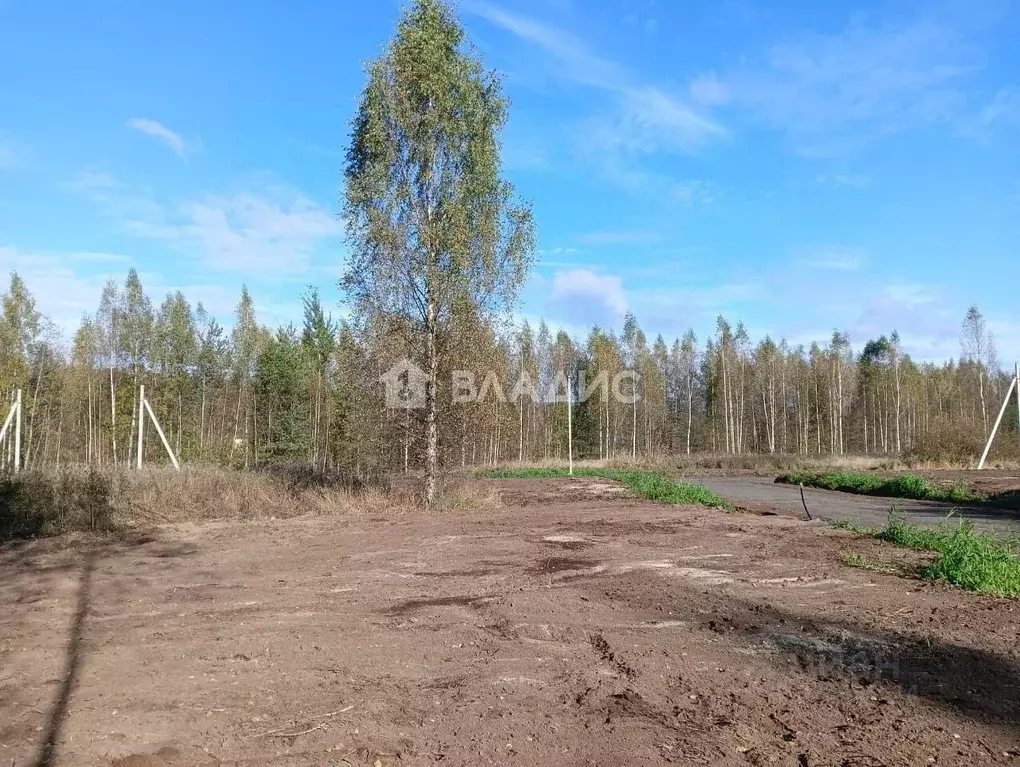 Участок в Ленинградская область, Всеволожский район, Свердловское ... - Фото 2