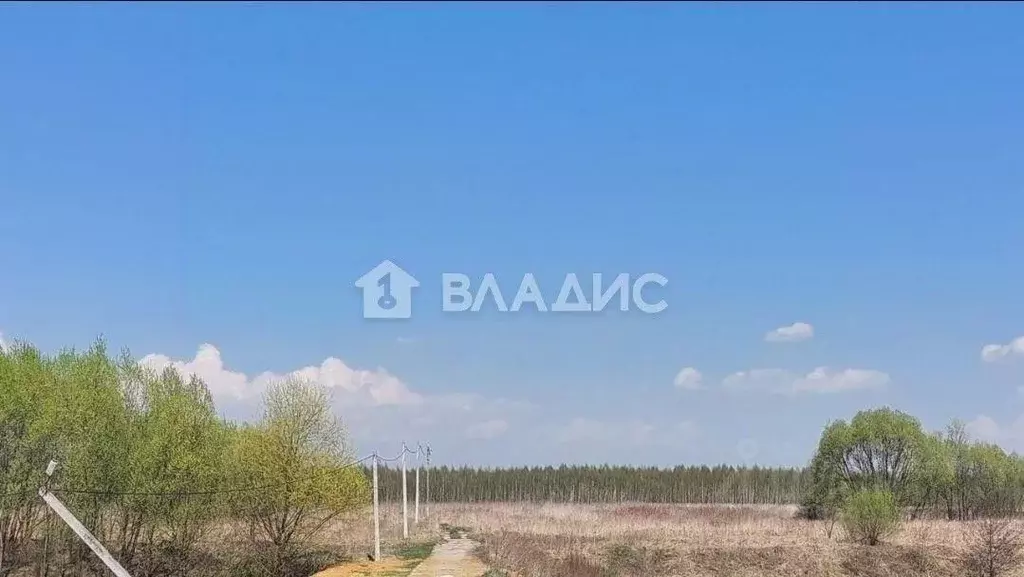 Участок в Московская область, Раменский муниципальный округ, Оттепель ... - Фото 0