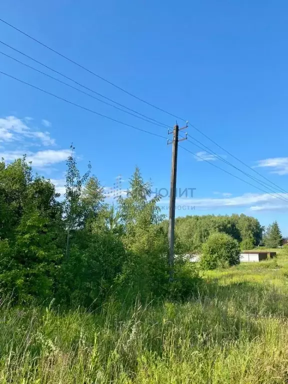 Участок в Нижегородская область, Богородский муниципальный округ, д. ... - Фото 1