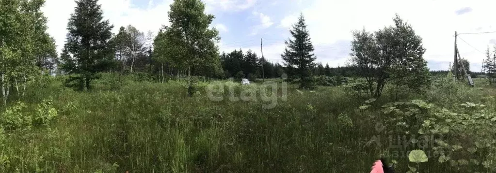 Участок в Сахалинская область, Южно-Сахалинск городской округ, с. ... - Фото 0