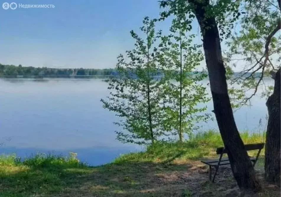 Участок в Костромской район, Чернопенское сельское поселение, село ... - Фото 1
