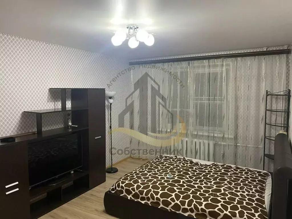 1-к кв. Белгородская область, Губкин ул. Кирова, 67А (39.0 м) - Фото 1