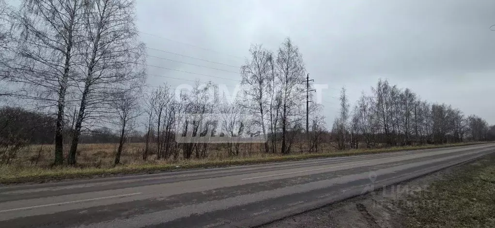 Участок в Курская область, Курский район, Нижнемедведицкий сельсовет, ... - Фото 1