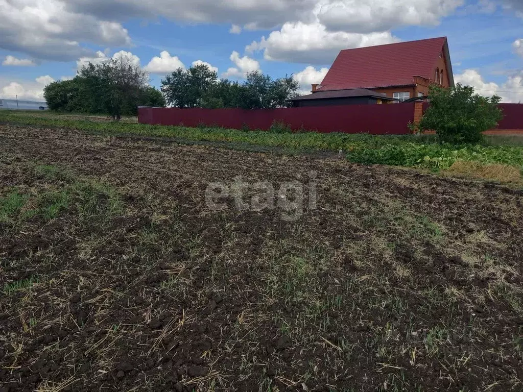 Участок в Белгородская область, Губкинский городской округ, с. ... - Фото 1