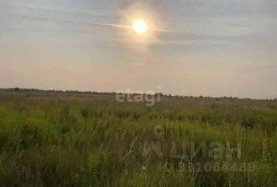 Участок в Липецкая область, Липецк Желтые пески СНТ, уч763 (10.9 сот.) - Фото 2