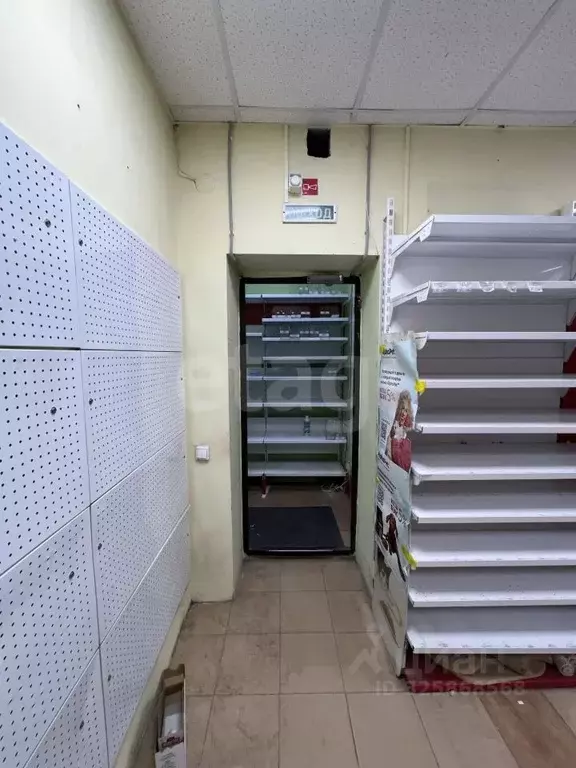 Помещение свободного назначения в Ямало-Ненецкий АО, Новый Уренгой ... - Фото 2