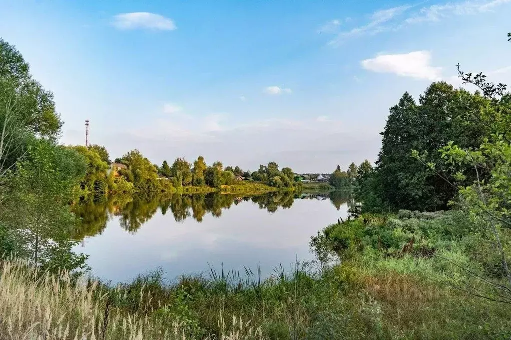 Участок в Московская область, Щелково городской округ, д. Мишнево ул. ... - Фото 0