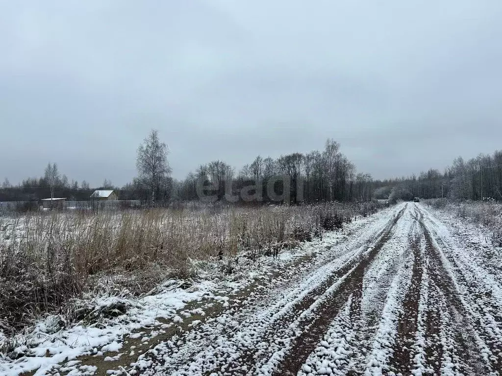 Участок в Ярославская область, Рыбинск Костовецкая ул., 65 (11.0 сот.) - Фото 1