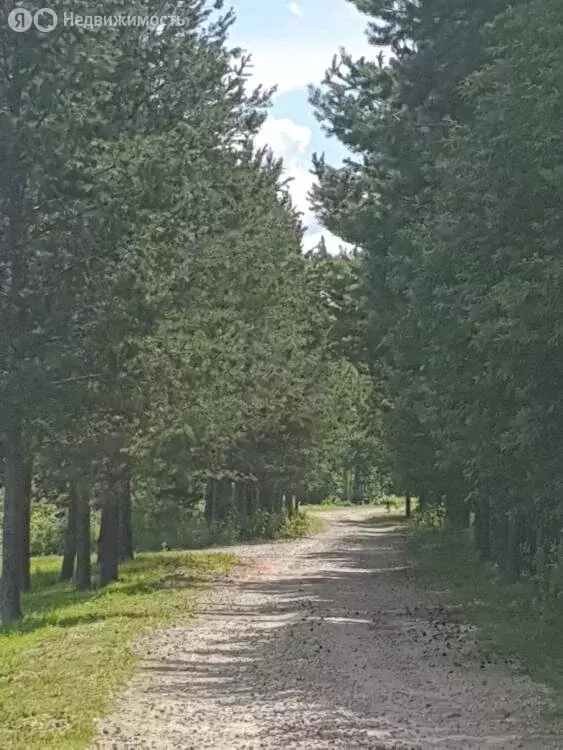 Дом в посёлок Гагарский, загородный комплекс Лайф (80 м) - Фото 1