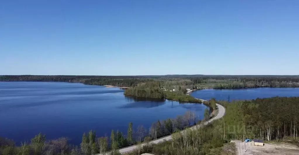 Участок в Ленинградская область, Выборгский район, Полянское с/пос, ... - Фото 0