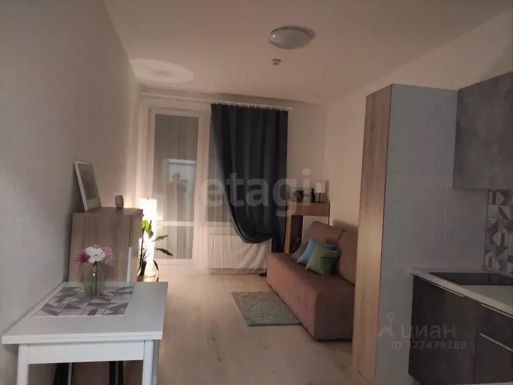 Студия Санкт-Петербург Белевский пер., 8 (24.0 м) - Фото 1