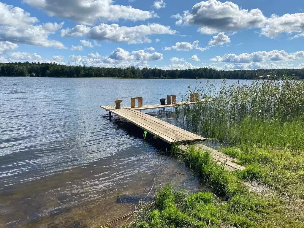 Участок в Ленинградская область, Приозерский район, Раздольевское ... - Фото 1