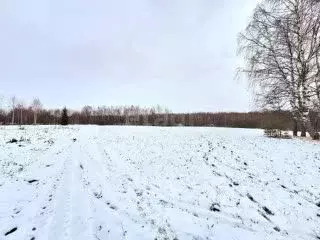 Участок в Ярославская область, Ярославль Липовая Гора жилрайон, ул. ... - Фото 1