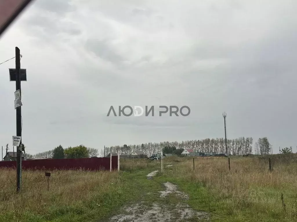 Участок в Башкортостан, Кармаскалинский район, Шаймуратовский ... - Фото 1