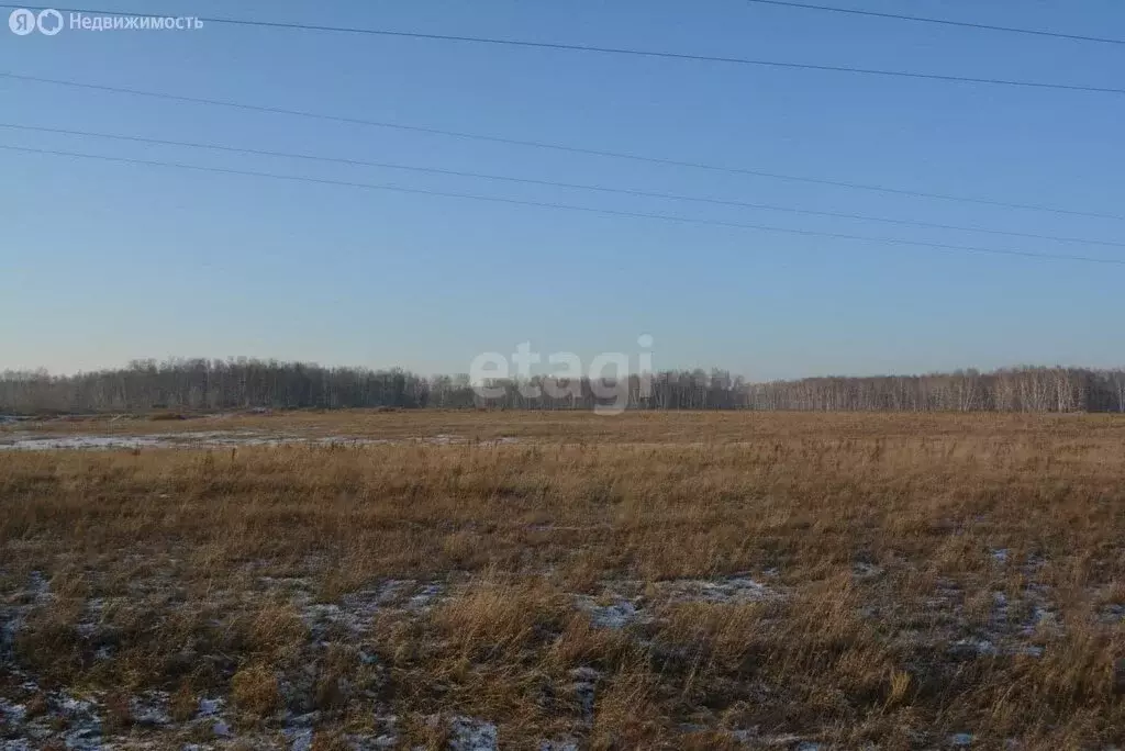 Участок в Искитимский район, деревня Бурмистрово (1099.3 м) - Фото 1