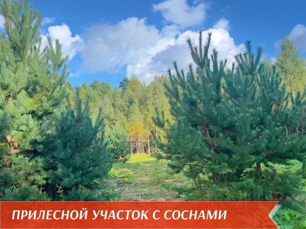 Участок в Московская область, Звенигород Одинцовский городской округ, ... - Фото 2