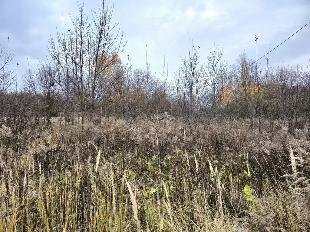 Участок в Тульская область, Тула городской округ, с. Частое  (15.0 ... - Фото 1