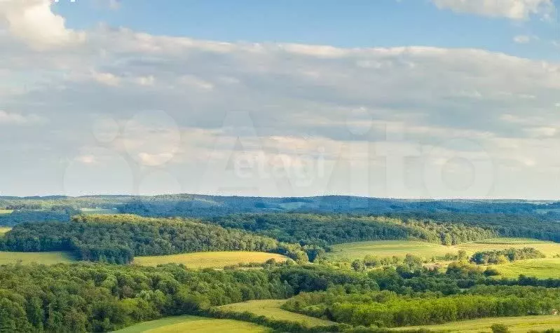 Участок 12 сот. (СНТ, ДНП) - Фото 1