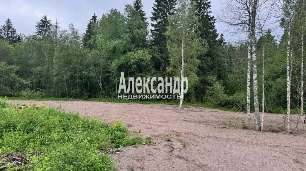 Участок в Ленинградская область, Приозерский район, Ларионовское ... - Фото 2