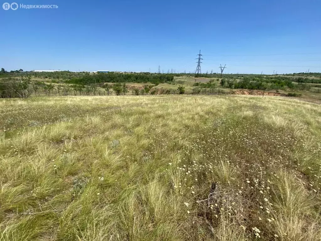 Участок в посёлок Царицын, садовое товарищество Раздолье, Урожайная ... - Фото 0