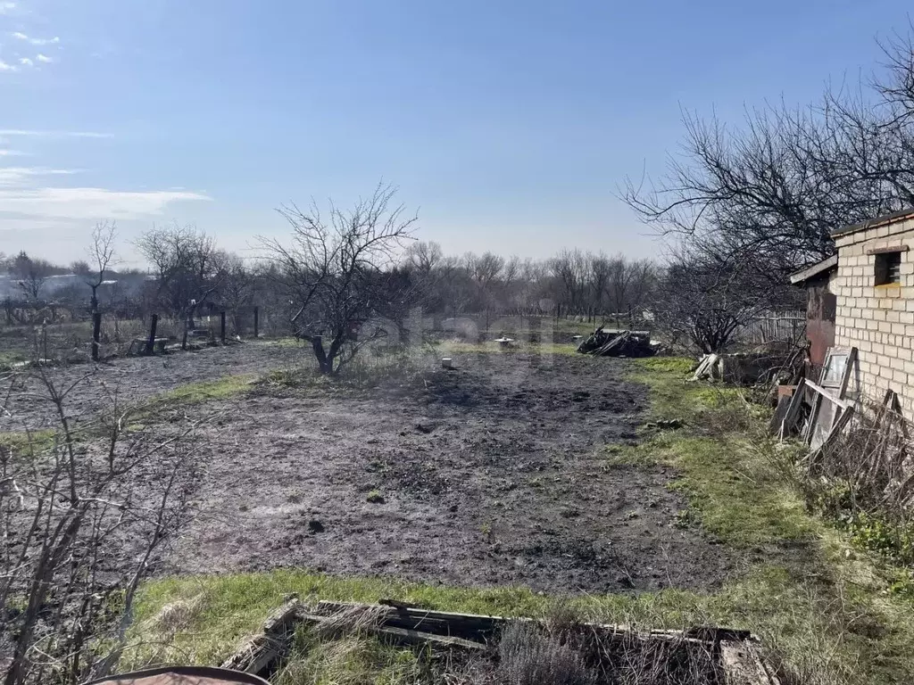 Дом в Белгородская область, Губкинский городской округ, с. Аверино ул. ... - Фото 1