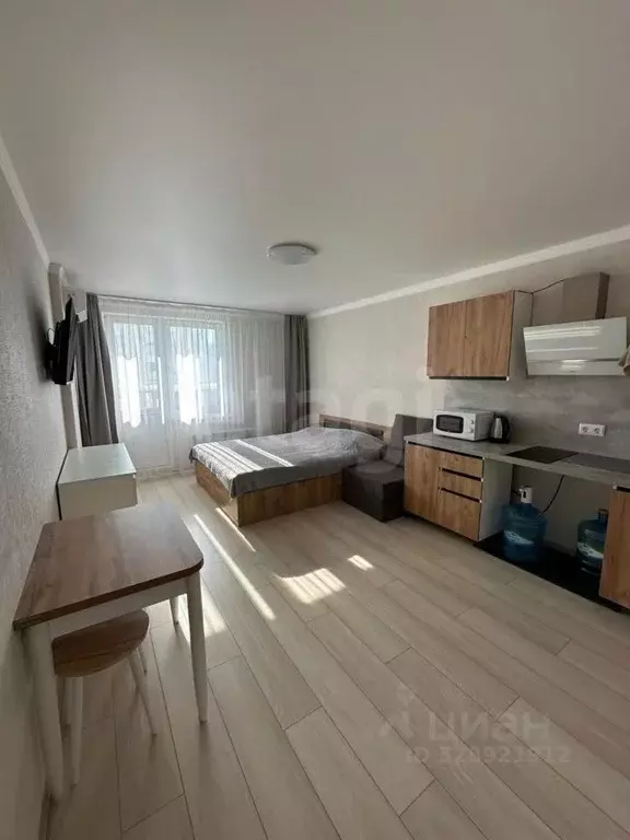Студия Краснодарский край, Анапа ул. Ленина, 235 (23.9 м) - Фото 1