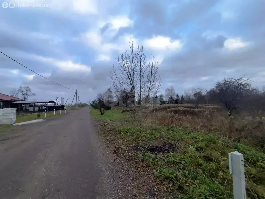 Участок в Калининградская область, Гурьевский муниципальный округ, ... - Фото 1